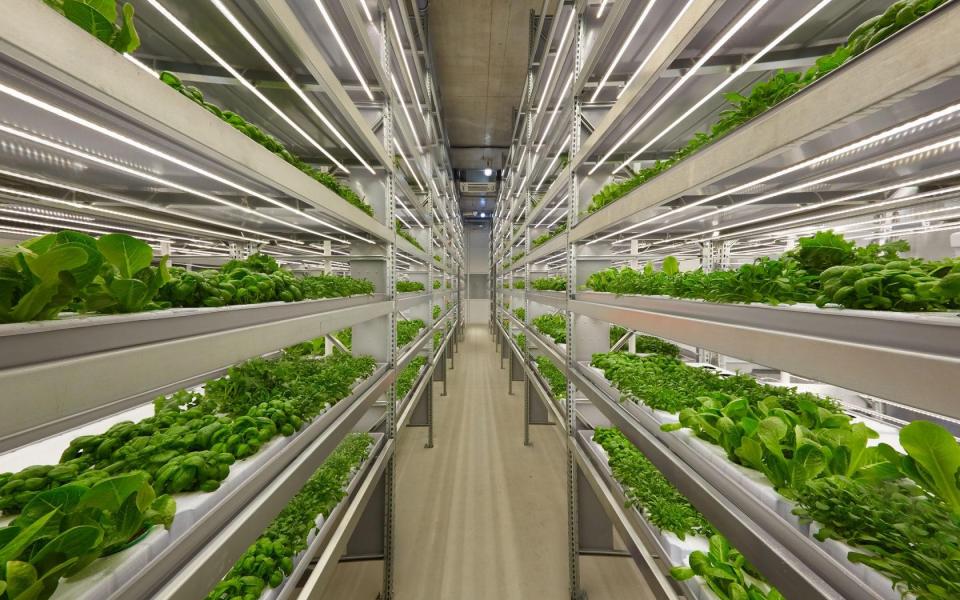 A Sustainable Movable Vertical Garden Sustainable Smart Campus as a